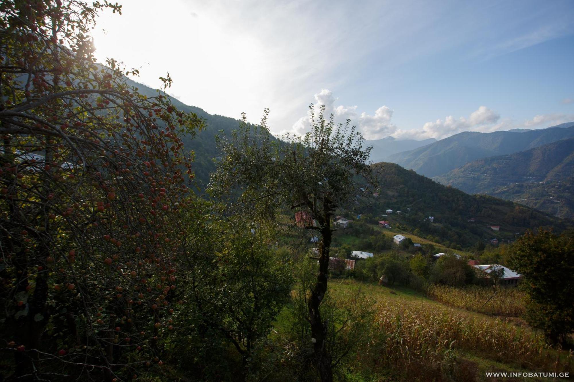 Hill Wonder * Batumi